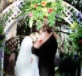 addywed113